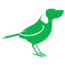 BirdDog