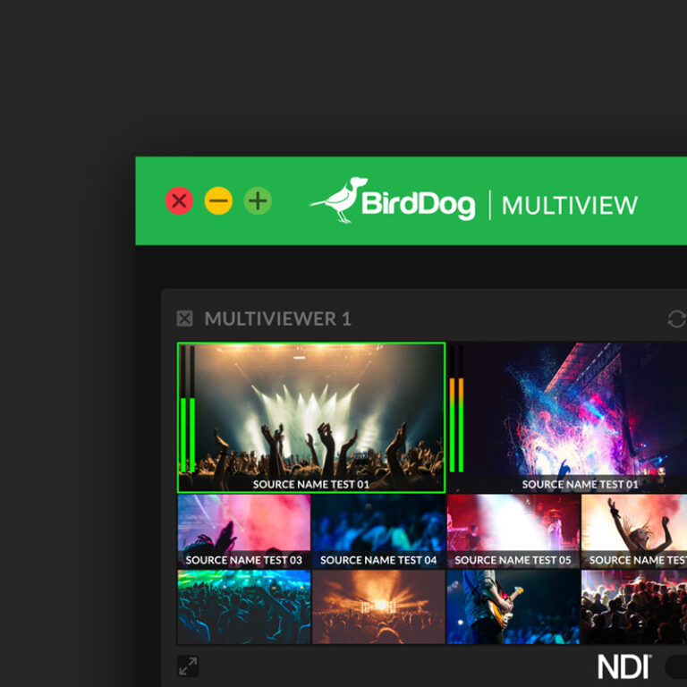 Multiview – BirdDog