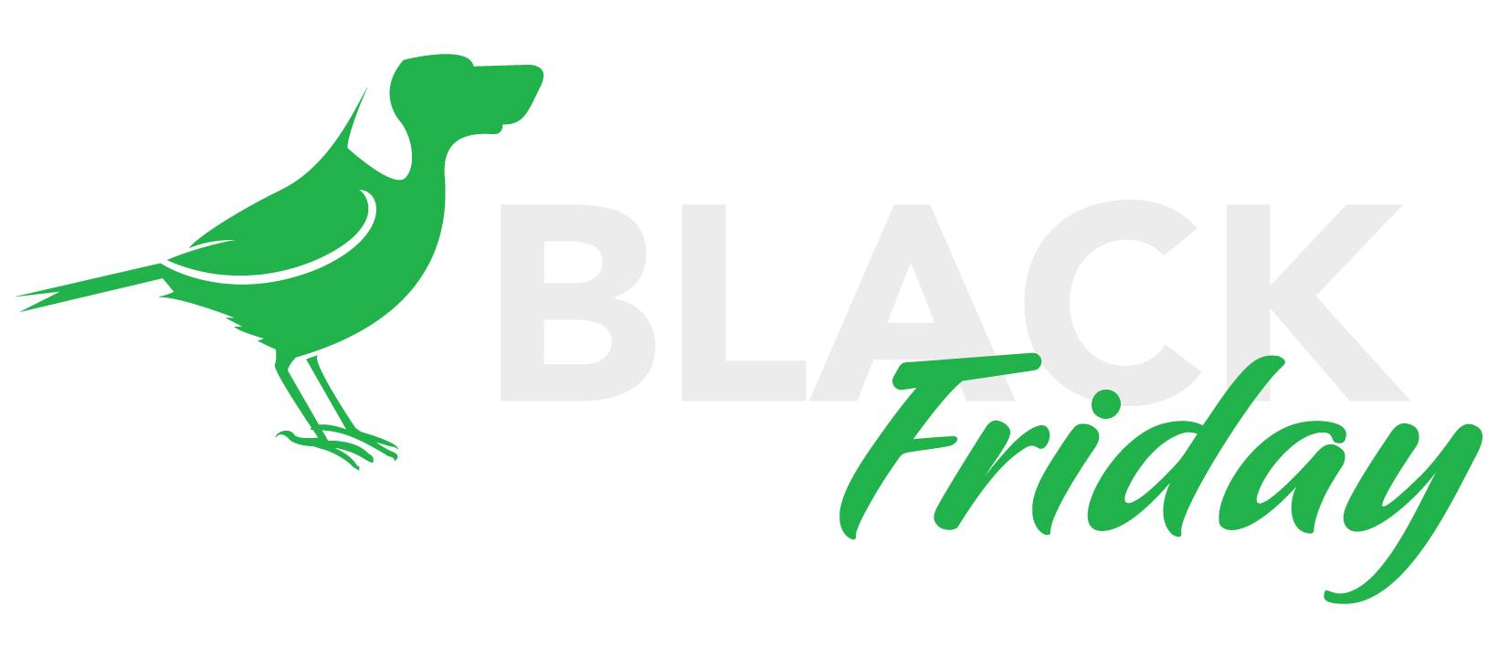 BirdDog to the future.