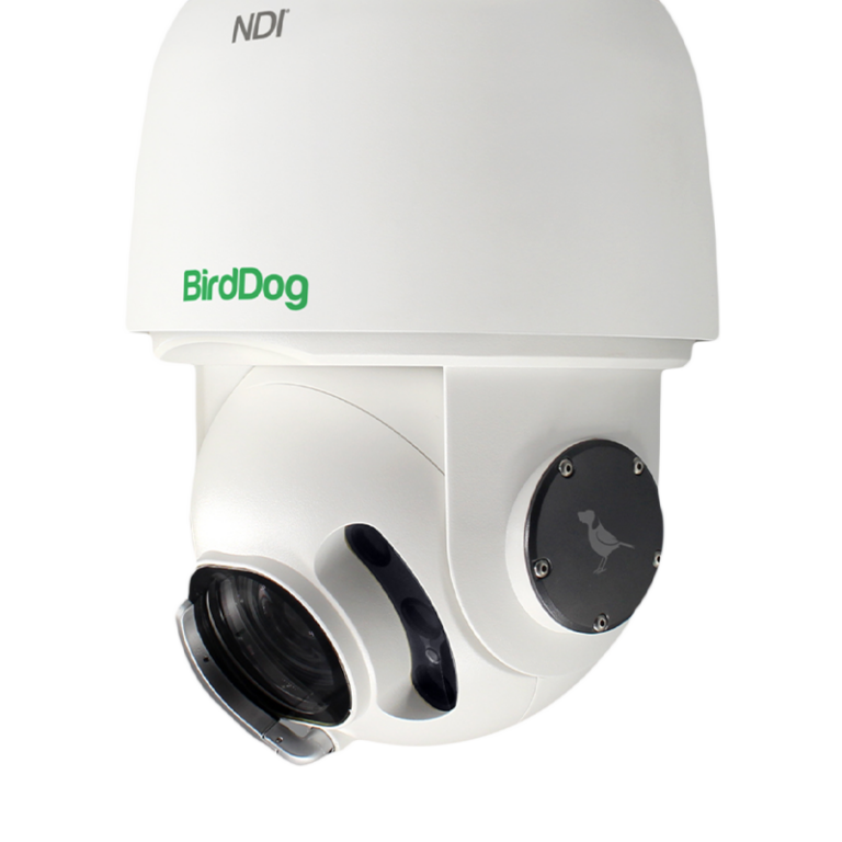 The BirdDog Difference BirdDog