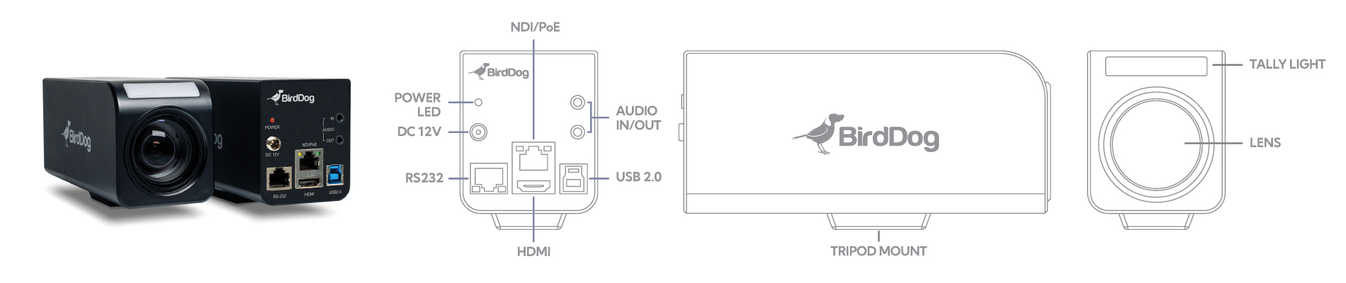 PF120-wireframe-show-v2