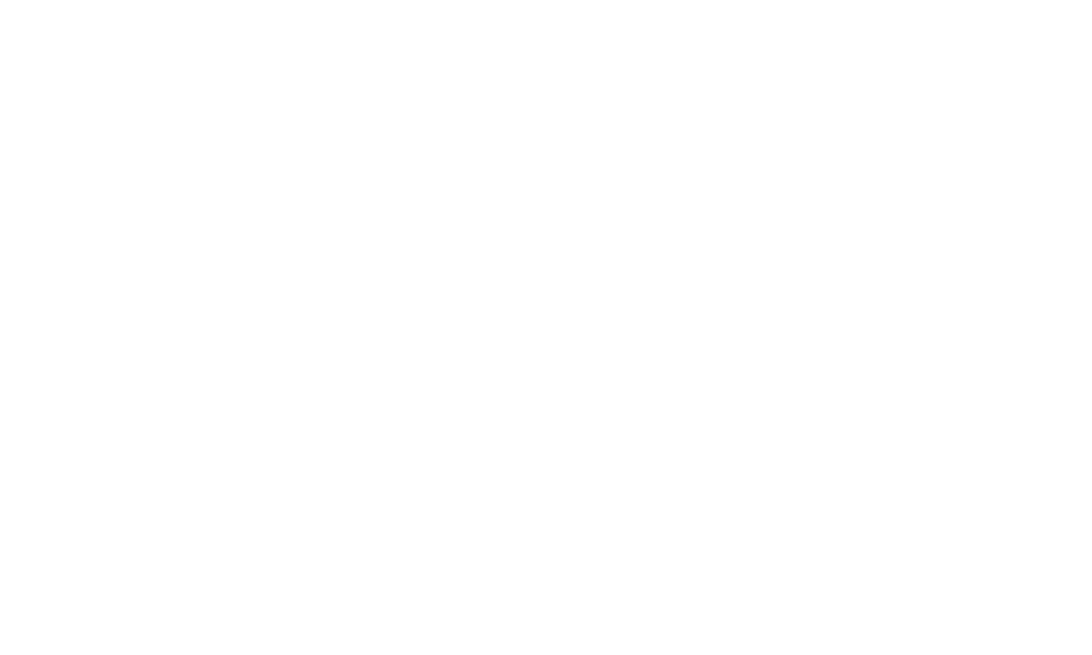 コムドットBIRDDOG 　バック Bundles – BirdDog