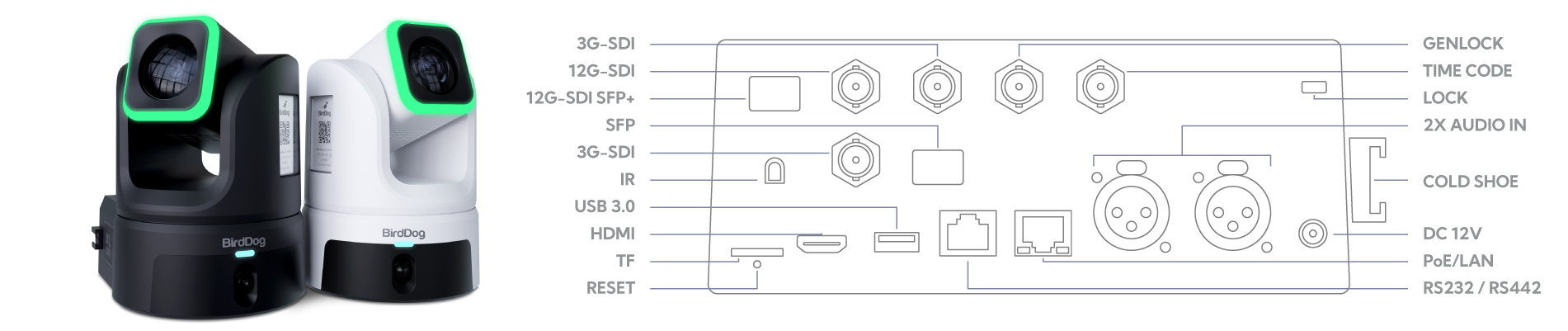 XL-wireframe_ipad