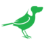 BirdDog